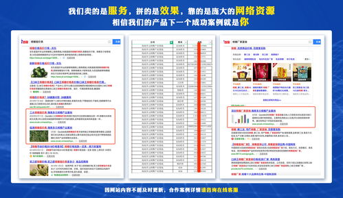 湛江产品推广与加盟服务外包 数字化转型与软件外包服务的协同发展